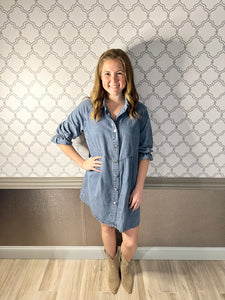 Ruffle Sleeve Denim Dress