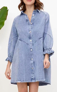 Ruffle Sleeve Denim Dress