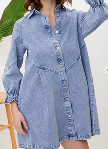 Ruffle Sleeve Denim Dress