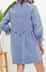 Ruffle Sleeve Denim Dress