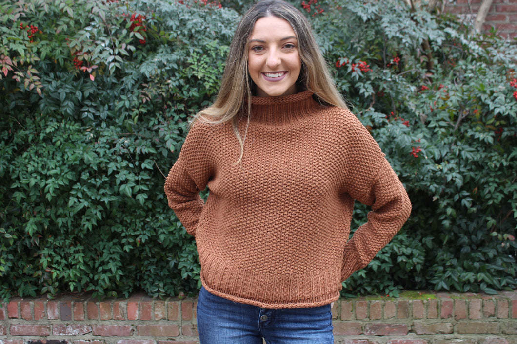 Cinnamon Turtleneck Sweater