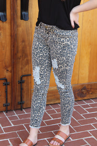 Leopard Pants