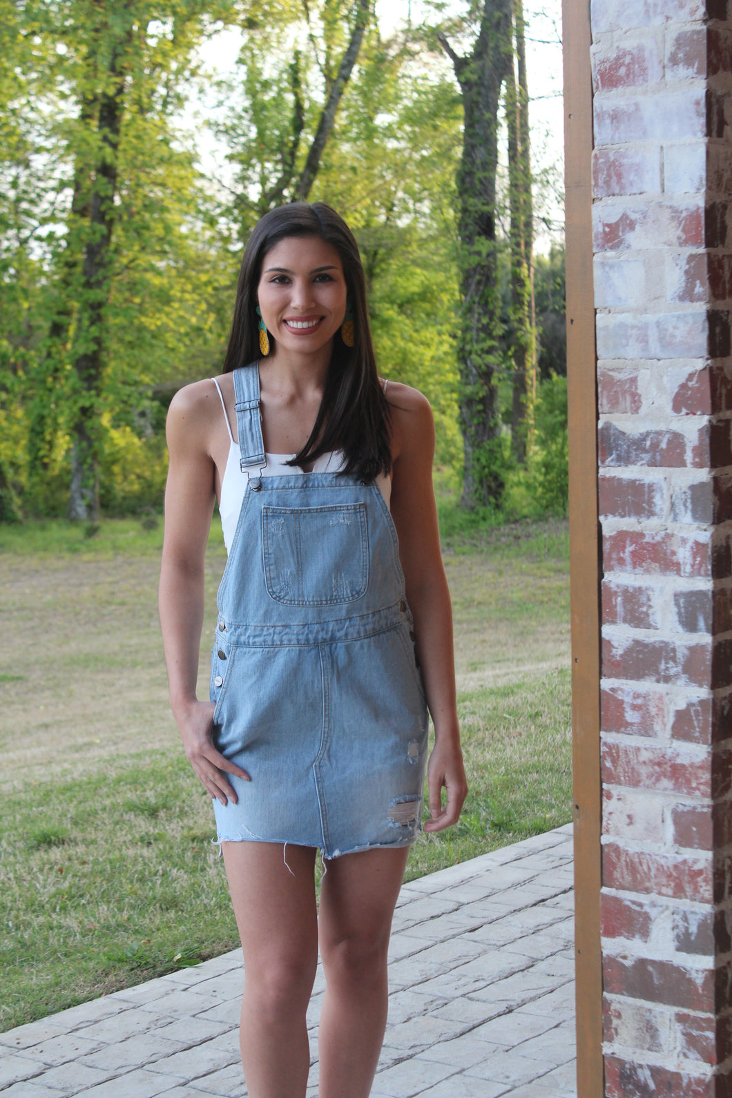 Denim Overall Dress